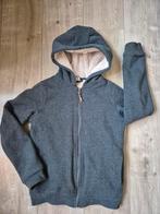 Hema Borgvest Teddy Gevoerd - Maat 146/152, Trui of Vest, Ophalen of Verzenden, Zo goed als nieuw, Hema