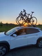 Fietsendragers te huur: dak, trekhaak, ploegleiders-auto,, Ophalen of Verzenden, 3 fietsen of meer, Gebruikt, Dakdrager