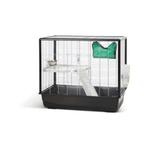 Gezocht: ratten kooi voor zachte prijs (of gratis opknapper), Meerdere dieren, Rat, Na 1 juli 2024