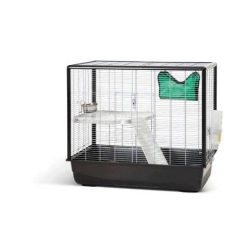 Gezocht: ratten kooi voor zachte prijs (of gratis opknapper), Dieren en Toebehoren, Knaagdieren, Meerdere dieren, Rat, Na 1 juli 2024