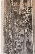 schin op geul- panorama, Ophalen of Verzenden, 1940 tot 1960, Limburg