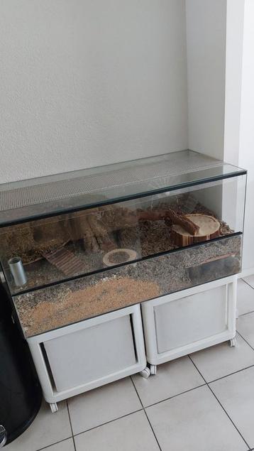 Hamsterkooi/hamsterhok 100x50 beschikbaar voor biedingen