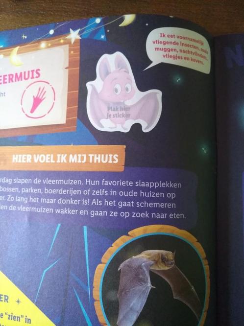 GEZOCHT: Vleermuis stickers van Lidl ( geen knuffel ), Verzamelen, Supermarktacties, Lidl, Ophalen