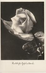 BLOEM ROOS ROZEN UIT 1934 ZEER MOOIE OUDE KAART KH310, Verzamelen, Ansichtkaarten | Themakaarten, Ophalen of Verzenden, 1920 tot 1940