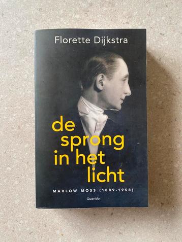 Florette Dijkstra - De sprong in het licht (2025) beschikbaar voor biedingen