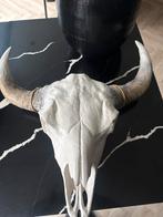 Decoratieve Kop van een Stier, Ophalen, Zo goed als nieuw