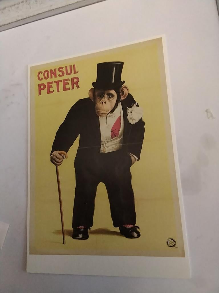 CONSUL. PETER, Verzamelen, Ophalen of Verzenden