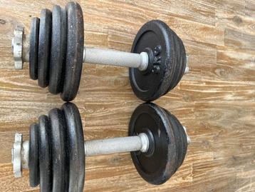 Dumbell set 2 x 15kg toraal 30kg beschikbaar voor biedingen