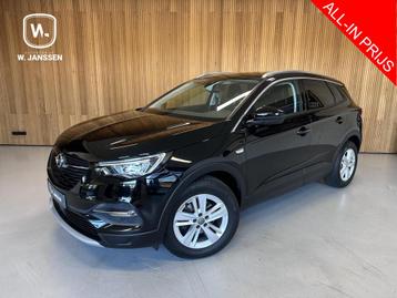 Opel Grandland X 1.2 Turbo Business Executive Trekhaak | Cam beschikbaar voor biedingen