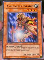 Yu-Gi-Oh! Amazoness Paladin MFC 1st Edition !, Hobby en Vrije tijd, Verzamelkaartspellen | Yu-gi-Oh!, Verzenden, Zo goed als nieuw