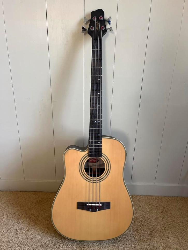 Linkshandige Semi-Akoestische Basgitaar, Muziek en Instrumenten, Snaarinstrumenten | Gitaren | Bas, Gebruikt, Semi-akoestisch
