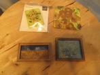 vincent van Gogh items, magneten kaarten onderzetter, Ophalen of Verzenden, Nieuw