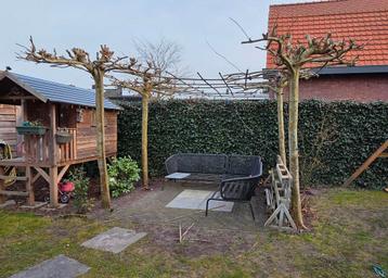 4x dakmoerbij hoogte 260cm beschikbaar voor biedingen