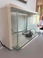 Superfish aquarium 25 inclusief toebehoren, Dieren en Toebehoren, Vissen | Aquaria en Toebehoren, Ophalen, Gebruikt, Leeg aquarium