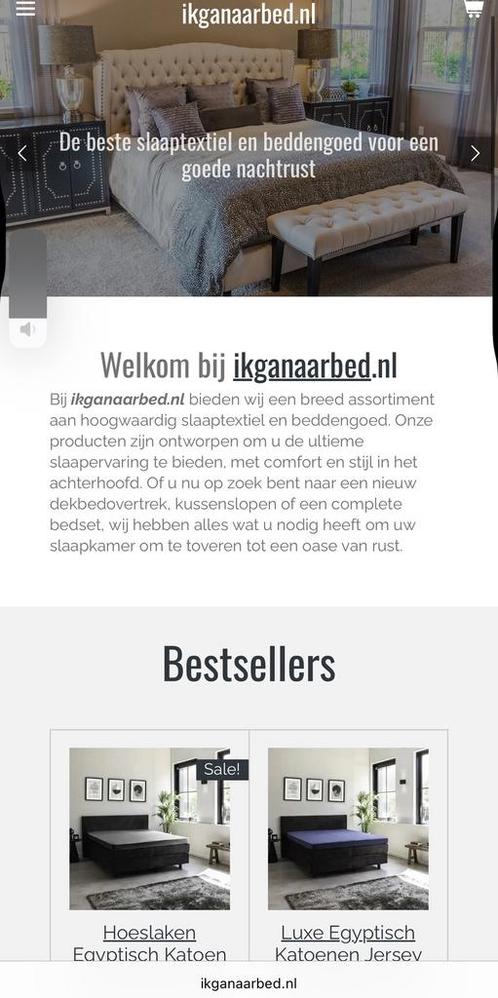 Professionele webshop met bijbehorende domeinnaam, Zakelijke goederen, Exploitaties en Overnames