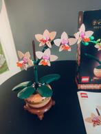Lego Botanical Collection mini orchidee (10343), Ophalen of Verzenden, Zo goed als nieuw, Complete set, Lego