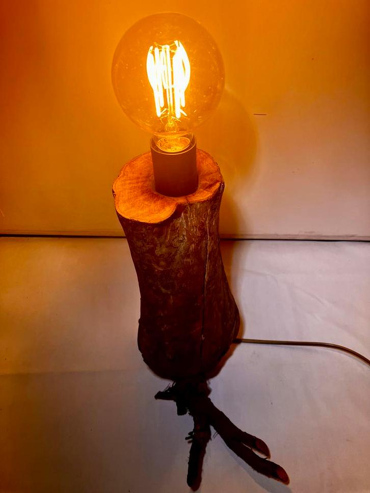 Unieke boomstam lamp met wortelvoet - Eyecatcher!, Huis en Inrichting, Lampen | Vloerlampen, Nieuw, Minder dan 100 cm, Hout, Ophalen of Verzenden