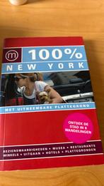 Pascal Theunissen - 100% New York, Ophalen of Verzenden, Zo goed als nieuw, Noord-Amerika, Budget