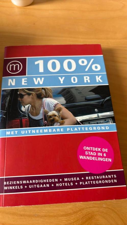Pascal Theunissen - 100% New York, Boeken, Reisgidsen, Zo goed als nieuw, Noord-Amerika, Budget, Ophalen of Verzenden