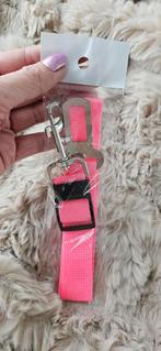 Autogordel voor de hond, Ophalen of Verzenden, Nieuw