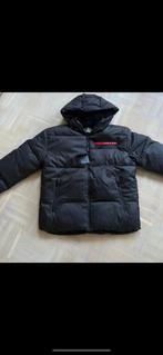 Prada jas puffer XS S M L, Kleding | Heren, Jassen | Winter, Ophalen of Verzenden, Zo goed als nieuw, Maat 46 (S) of kleiner, Zwart