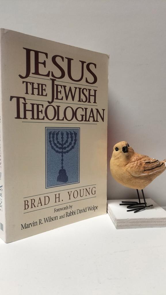 Young, Brad H.; Jesus the Jewish theologian, Boeken, Godsdienst en Theologie, Gelezen, Christendom | Protestants, Ophalen of Verzenden