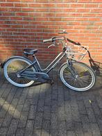 Alpina mood meisjesfiets transportfiets kinderfiets, Fietsen en Brommers, Fietsen | Meisjes, Ophalen of Verzenden, 24 inch