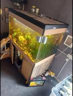 Tekoop aan geboden ..100x60x60 aquarium, Dieren en Toebehoren, Ophalen, Gebruikt, Leeg aquarium