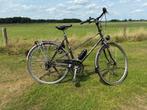 Koga Miyata Forest Lady, Fietsen en Brommers, Fietsen | Dames | Sportfietsen en Toerfietsen, Ophalen, 28 inch, Koga Miyata, Meer dan 20 versnellingen