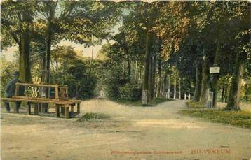 (301-345-019) Hilversum Wilhelminaboom in Spanderwoud beschikbaar voor biedingen