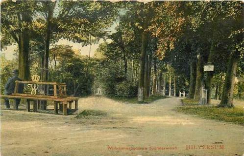 (301-345-019) Hilversum Wilhelminaboom in Spanderwoud, Verzamelen, Ansichtkaarten | Nederland, Noord-Holland, Verzenden