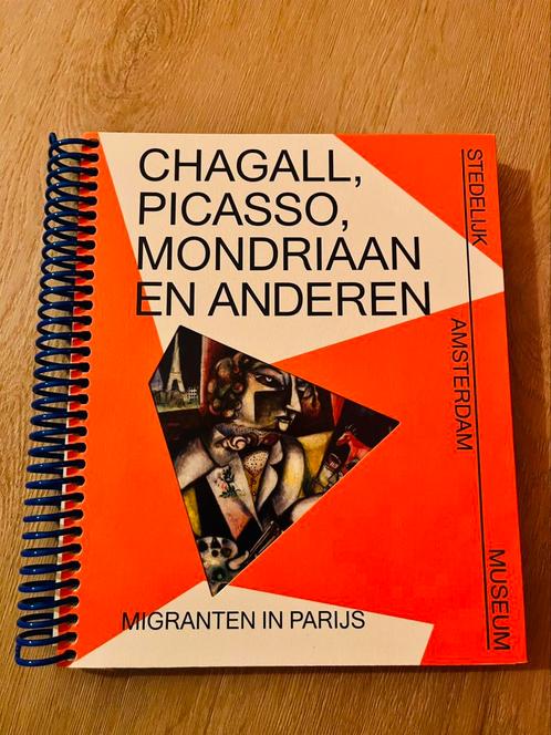 Chagall, Picasso, Mondriaan e.a., Boeken, Overige Boeken, Zo goed als nieuw, Ophalen of Verzenden