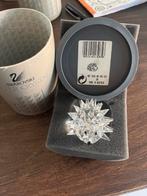 Swarovski Egel Medium - Zonder Snorharen - 013265, Ophalen of Verzenden, Zo goed als nieuw, Figuurtje
