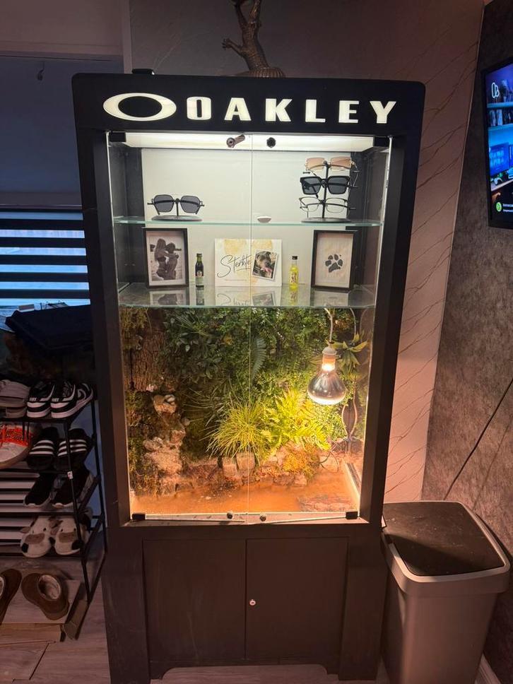 Terrarium/paludarium . Vritrinekast, Dieren en Toebehoren, Reptielen en Amfibieën | Toebehoren, Zo goed als nieuw, Ophalen of Verzenden