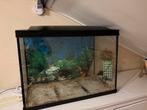 Superfish 100 liter aquarium, Ophalen, Zo goed als nieuw
