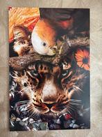Schilderij met dierenprint 60x90 cm, Ophalen, Overige materialen, Zo goed als nieuw, 75 cm of meer
