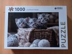puzzel 1000 stukjes - cute kittens (schattige kittens), Nieuw, Ophalen of Verzenden