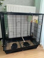 2 forpussen compleet, Ophalen of Verzenden, Zo goed als nieuw, Vogelkooi