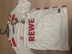 Hummel Sportshirt - 1. FC Köln - Nieuw, Kleding | Dames, Sportkleding, Maat 38/40 (M), Verzenden, Wit, Nieuw