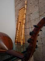 Egyptische Arabische Ney te koop (Egyptian Ney) Gratis Les!, Ophalen of Verzenden, Zo goed als nieuw, Houtblazer