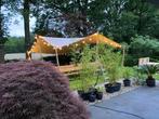 Stretchtent te huur!, Ophalen, Opvouwbaar, Partytent, 6 meter of meer