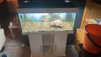 Jewel aquarium met nieuwe pomp, Dieren en Toebehoren, Ophalen, Zo goed als nieuw, Leeg aquarium