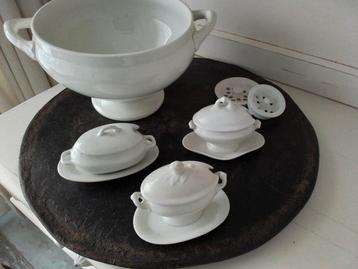 Mini terrienes  beschikbaar voor biedingen