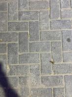 gebruikt betonklinker bkk zwart, Tuin en Terras, Tegels en Klinkers, Ophalen of Verzenden, Gebruikt, Beton, Klinkers