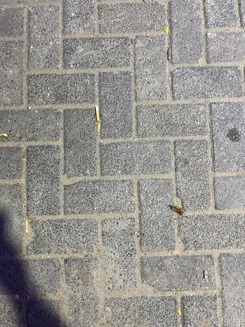 gebruikt betonklinker bkk zwart beschikbaar voor biedingen