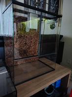 Terrarium in goede staat, Dieren en Toebehoren, Reptielen en Amfibieën | Toebehoren, Ophalen, Zo goed als nieuw, Terrarium of Paludarium