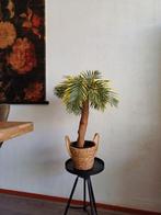 Prachtige kunst palmboom, Nieuw, Binnen, Ophalen of Verzenden
