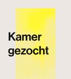 Kamer gezocht voor nette man