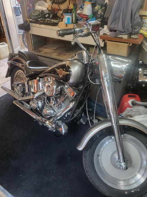 Harley fatboy special, Motoren, Motoren | Harley-Davidson, Particulier, Chopper, Ophalen