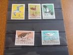 1961 - pf zomerzegels, vogels (6d), Postzegels en Munten, Postzegels | Nederland, Verzenden, Postfris